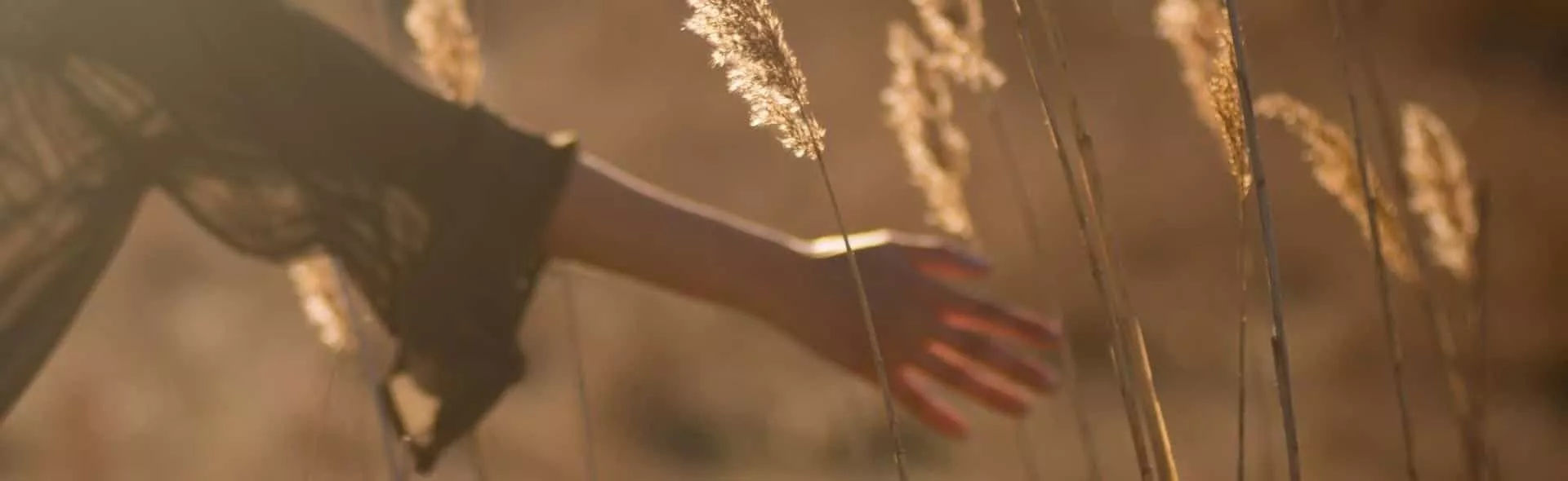 header humanflow inspirierende texte