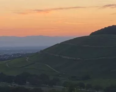 humanflow institut ausbildung 1